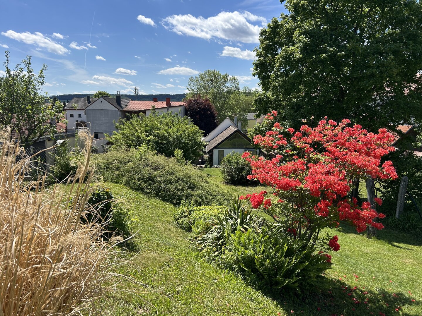 EINZIGARTIGE Galerieresidenz im revitalisierten Bauernhaus mit spektakulärem Zubau, uneinsehbarem Innenhof, Gartenparadies, Pool und Sauna in Stoob!