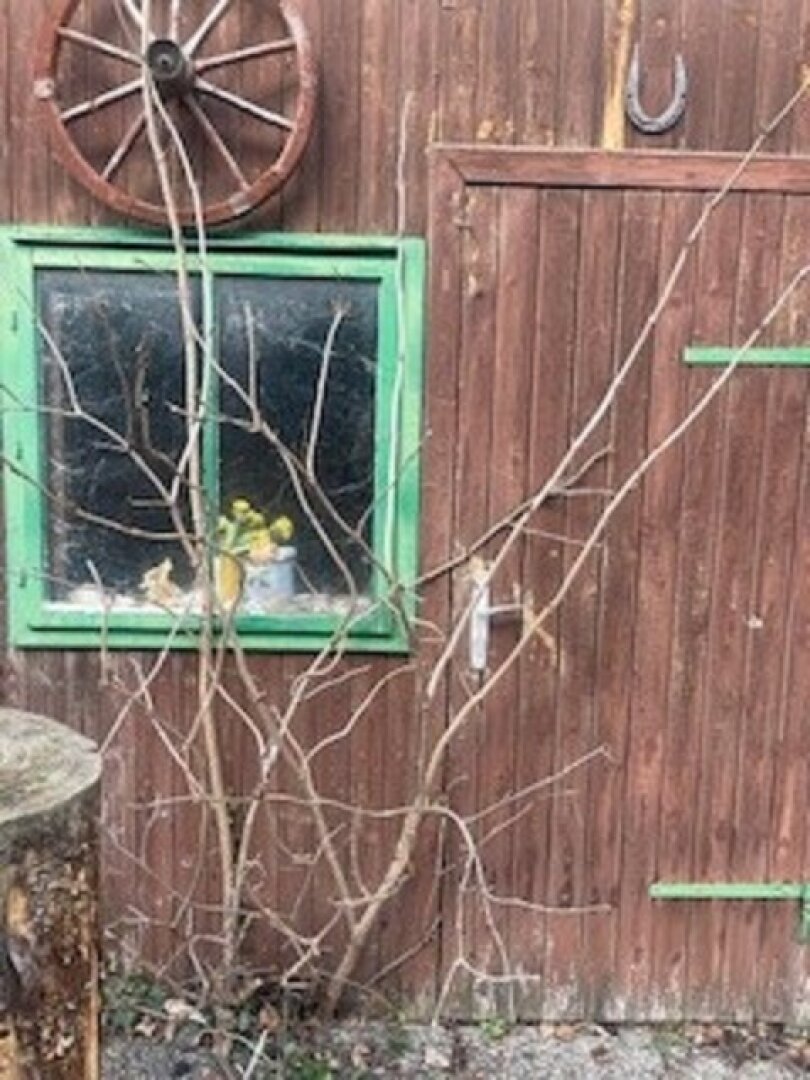 Traumhaftes Baugrundstück in Brunn am Gebirge – Ihr neues Zuhause wartet!