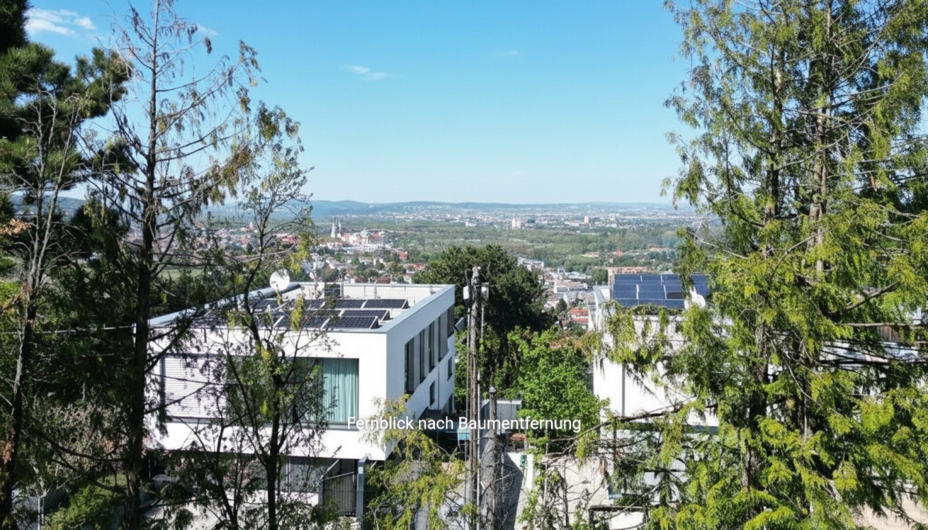 Fernblick