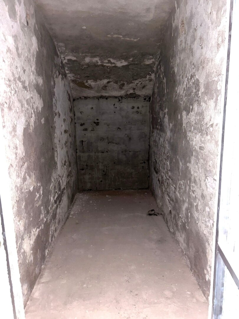 Hochwertigst sanierte und voll möblierte 2-Zimmer Altbauwohnung in der Alsegger Straße - Gersthof