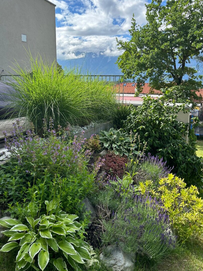 Architektonische Doppelhaushälfte in Rinn – Panoramablick auf die Nordkette