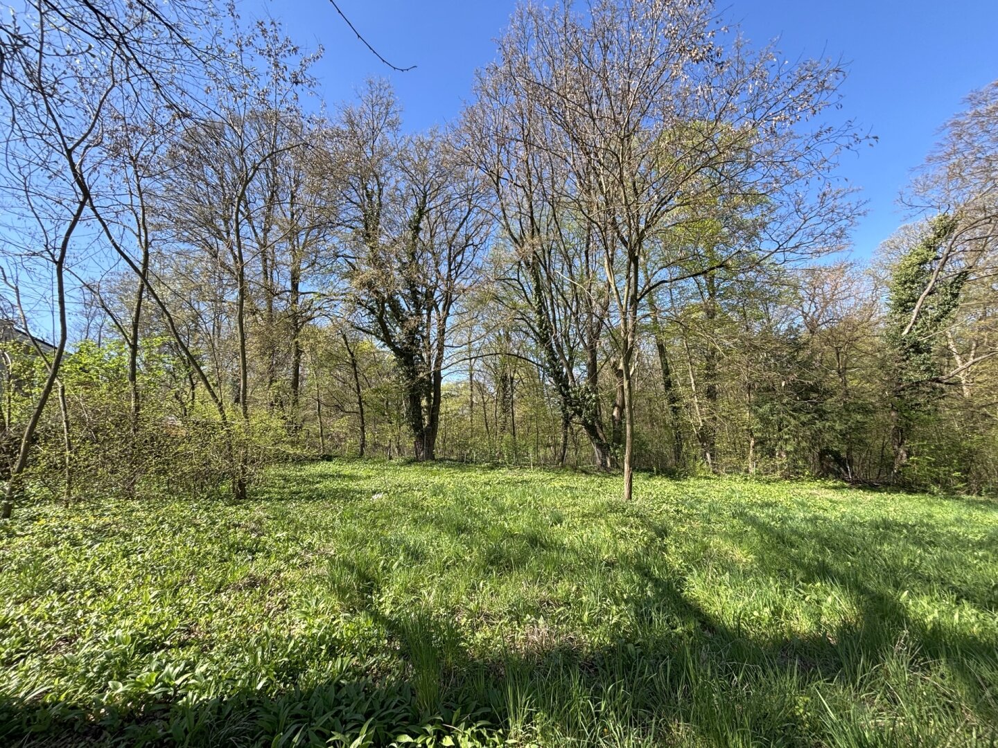 Platz für ein Einfamilien- oder Doppelhaus - Eigengrund am Ödberg in sonniger, grüner Umgebung