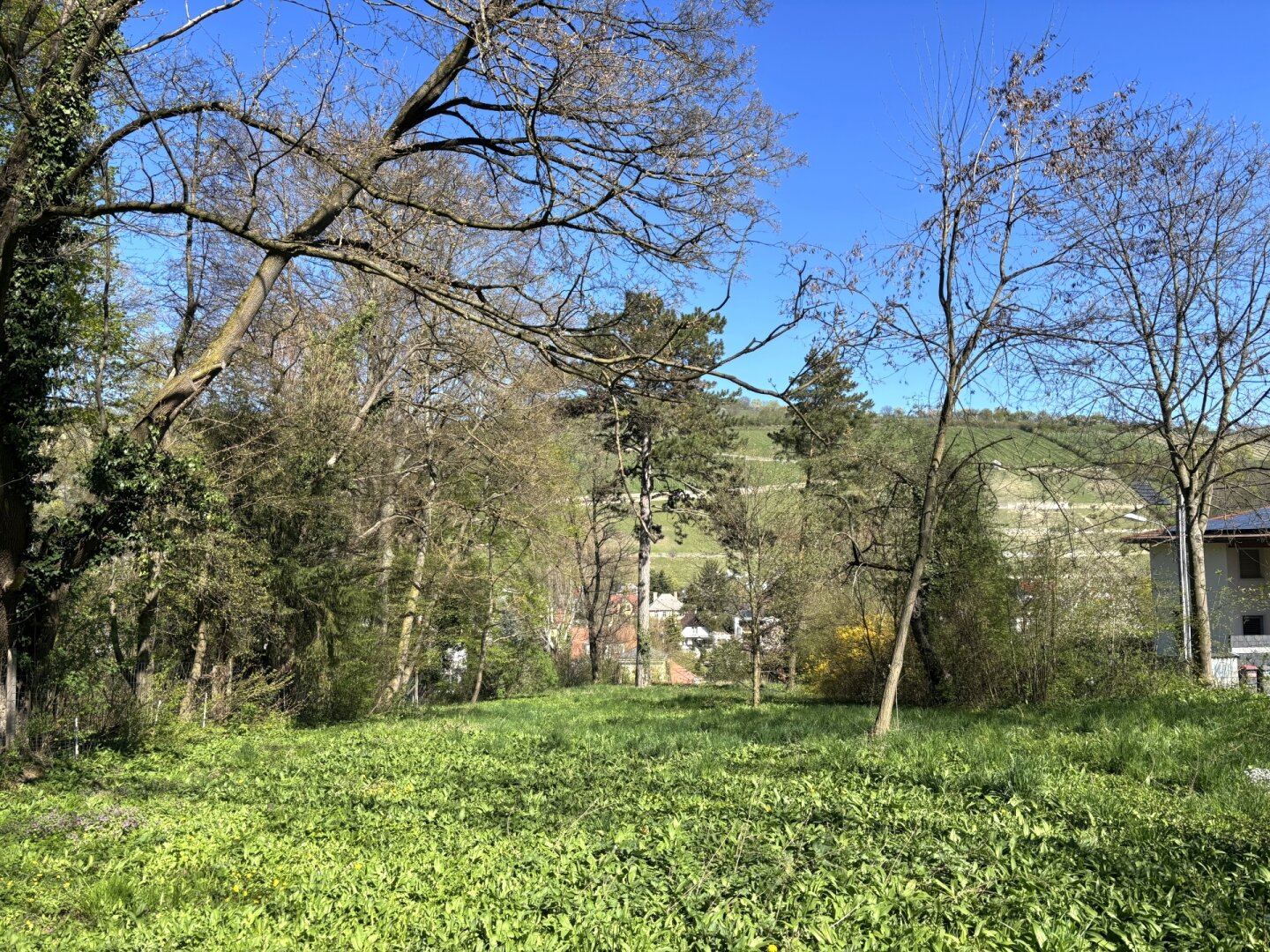 Platz für ein Einfamilien- oder Doppelhaus - Eigengrund am Ödberg in sonniger, grüner Umgebung