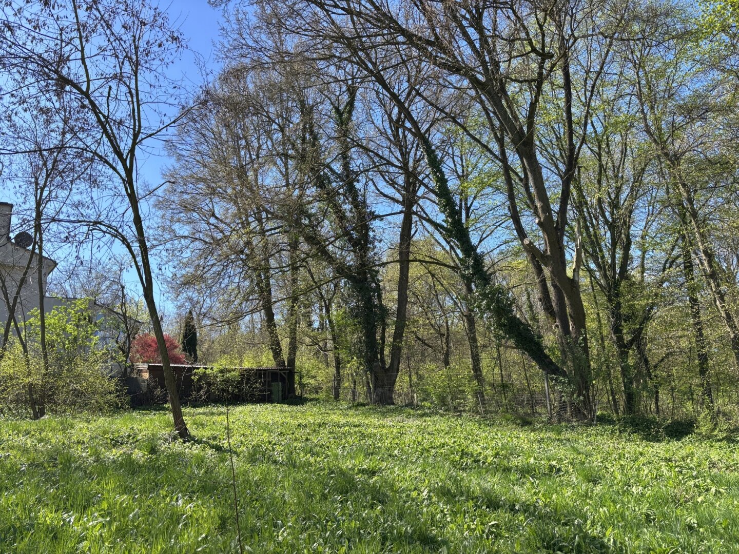 Platz für ein Einfamilien- oder Doppelhaus - Eigengrund am Ödberg in sonniger, grüner Umgebung