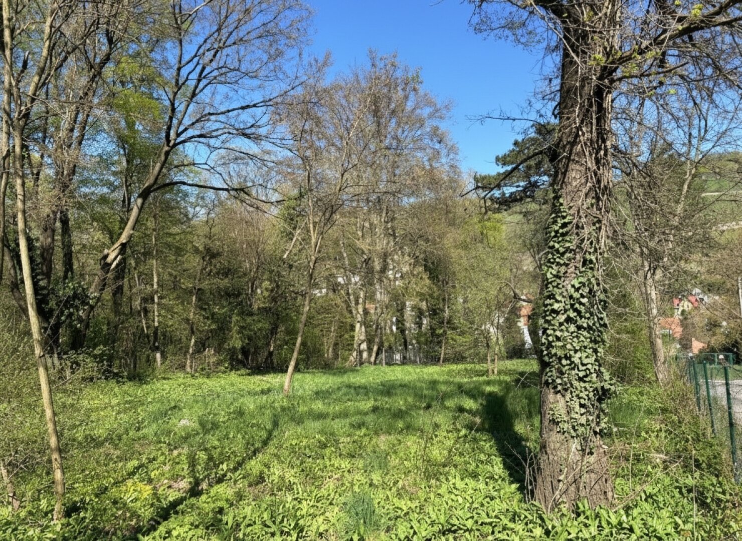 Platz für ein Einfamilien- oder Doppelhaus - Eigengrund am Ödberg in sonniger, grüner Umgebung