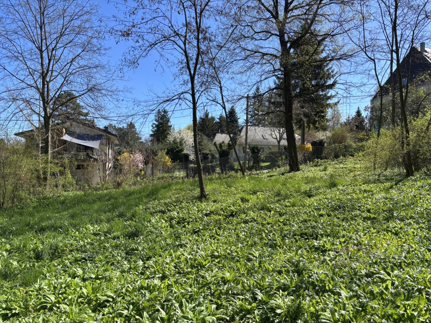 Platz für ein Einfamilien- oder Doppelhaus - Eigengrund am Ödberg in sonniger, grüner Umgebung