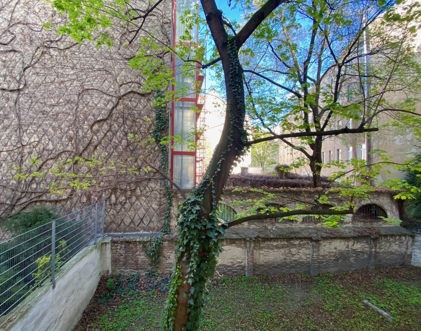 MITTEN im STUWERVIERTEL! ALTBAU zu RENOVIEREN, HOFRUHELAGE!