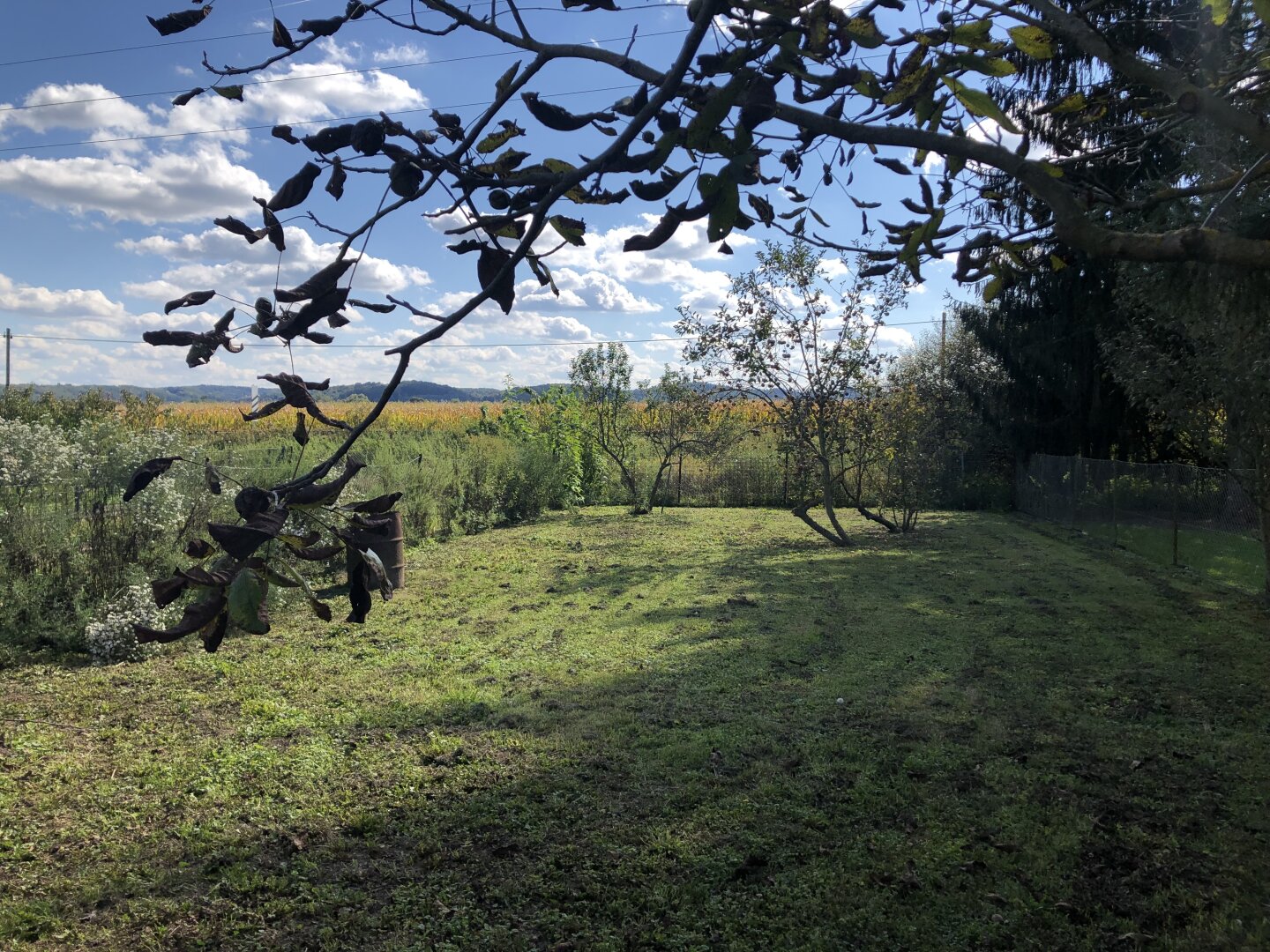 Garten 1
