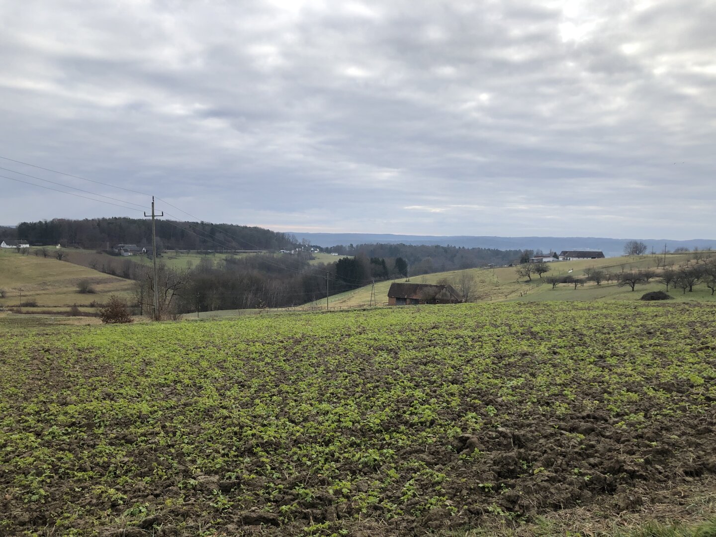 DAS Platzerl, das alle suchen - Baugrund -