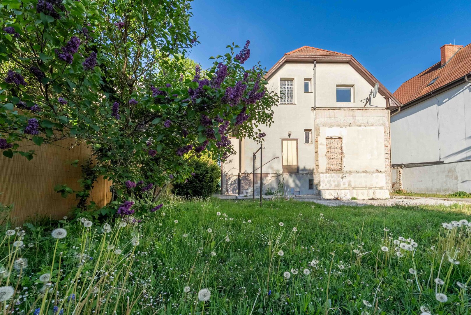 Gartenansicht des Hauses