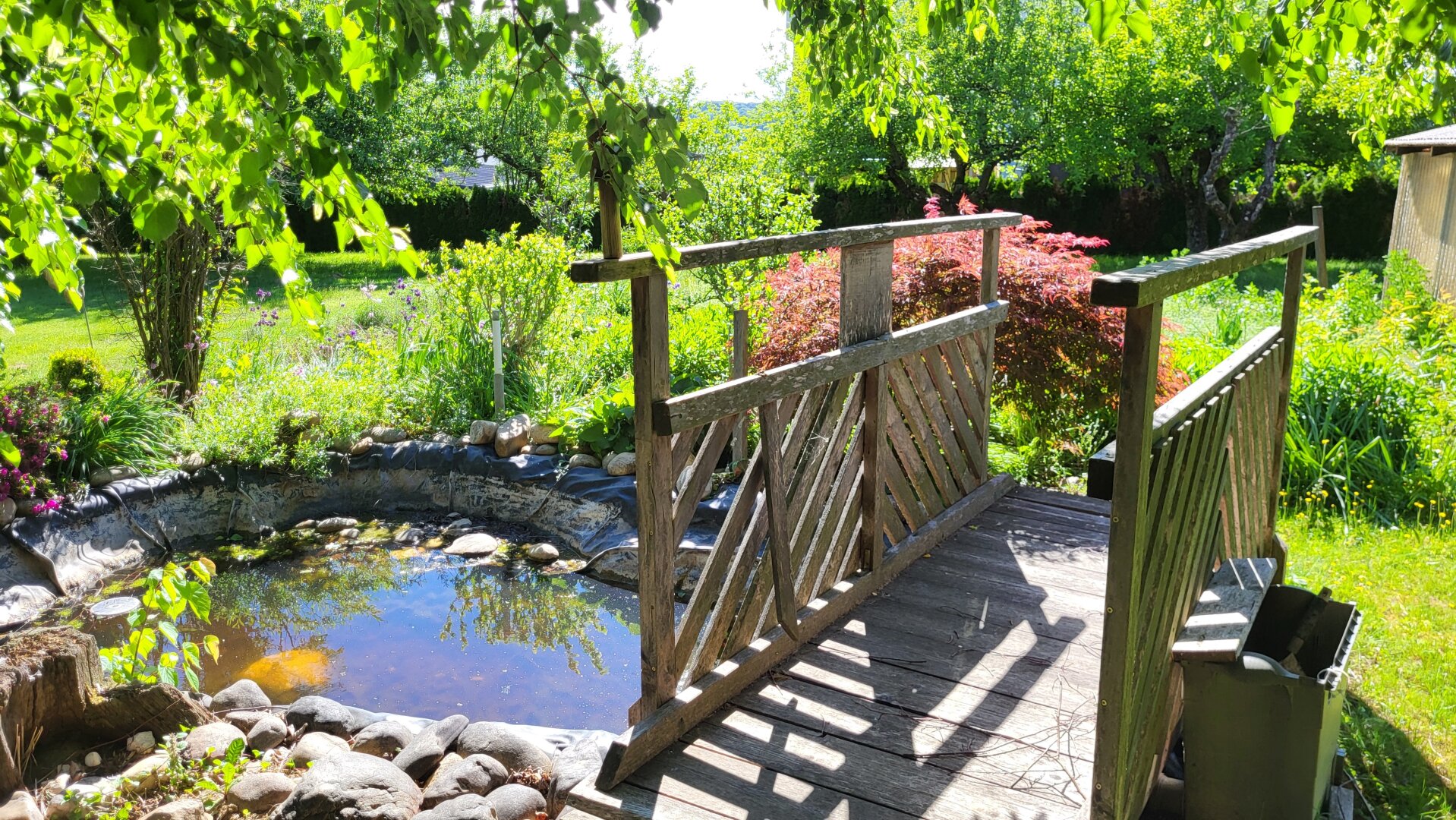 Zwischen Waldrand, Baumhaus und Abendsonne – ein Zuhause mit Seele