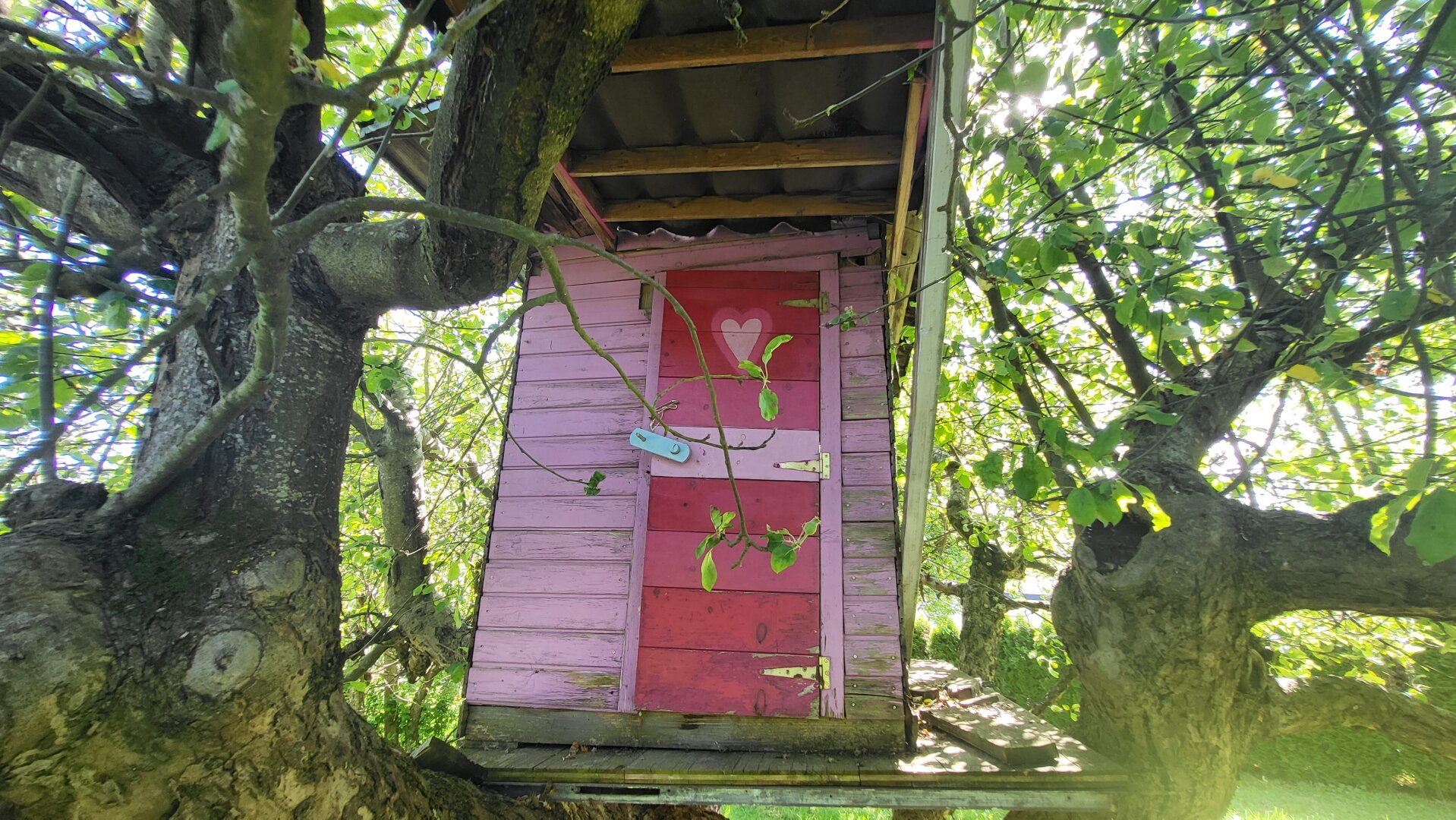 Zwischen Waldrand, Baumhaus und Abendsonne – ein Zuhause mit Seele
