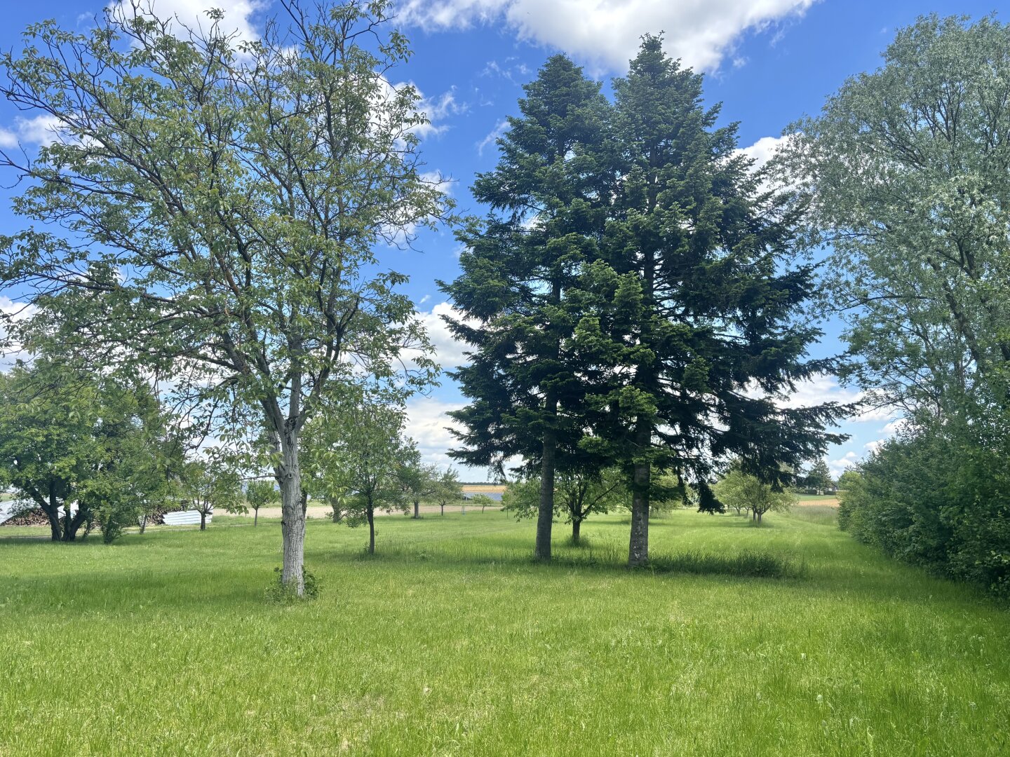 ** ORIGINAL, RUSTIKAL, WOHNLICH **  Strem !! Gepflegtes Wohnhaus in zentraler Ortslage mit Nebengebäuden und ansprechendem Grundstück mit ca. 4.300 m2 !!