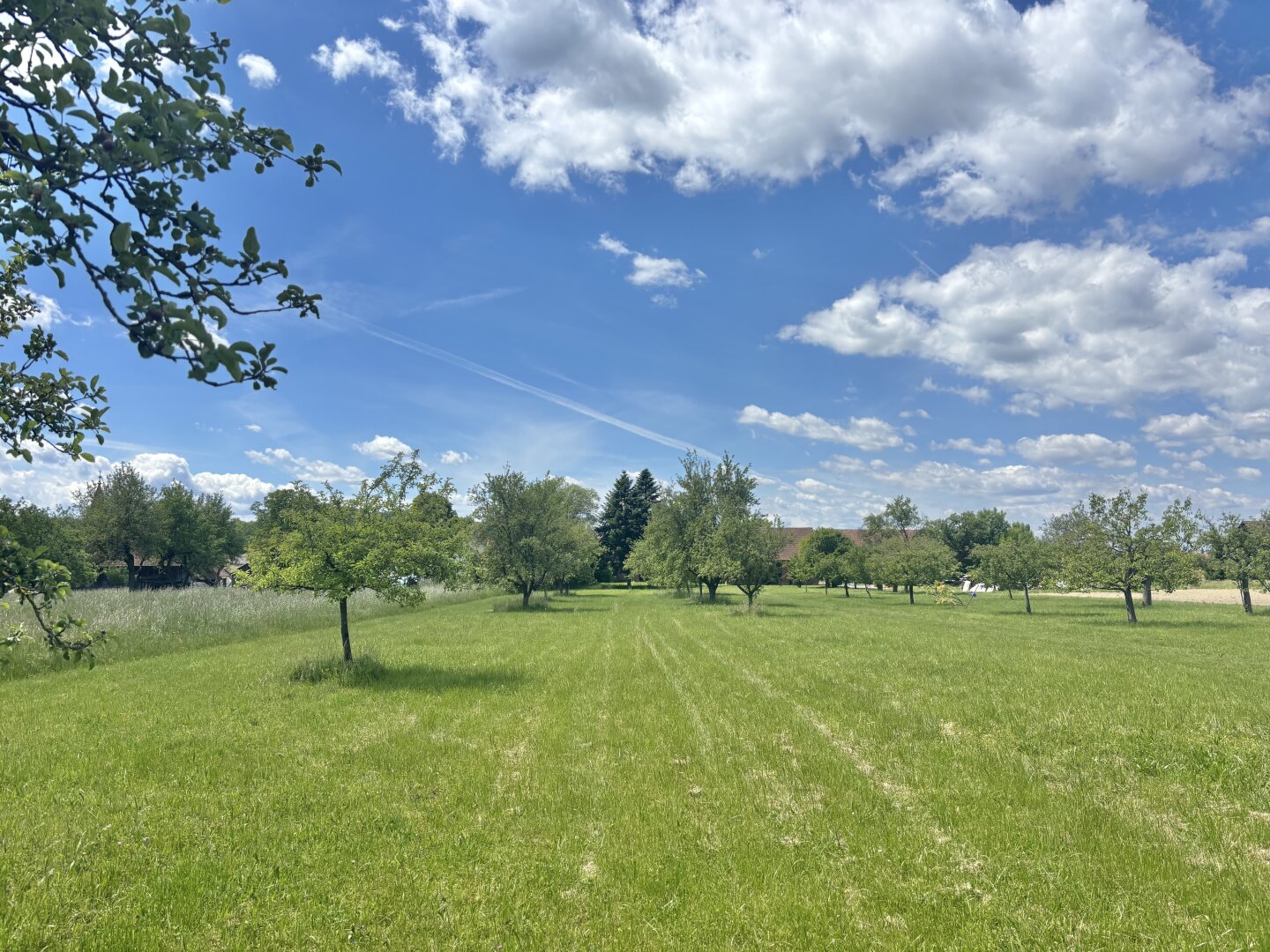 ** ORIGINAL, RUSTIKAL, WOHNLICH **  Strem !! Gepflegtes Wohnhaus in zentraler Ortslage mit Nebengebäuden und ansprechendem Grundstück mit ca. 4.300 m2 !!