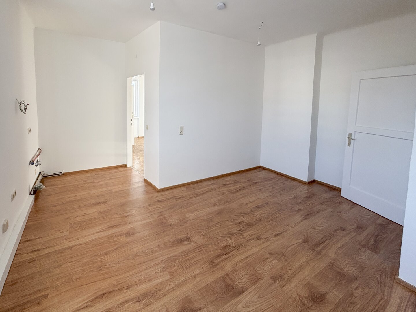 Helle, neu sanierte Wohnung