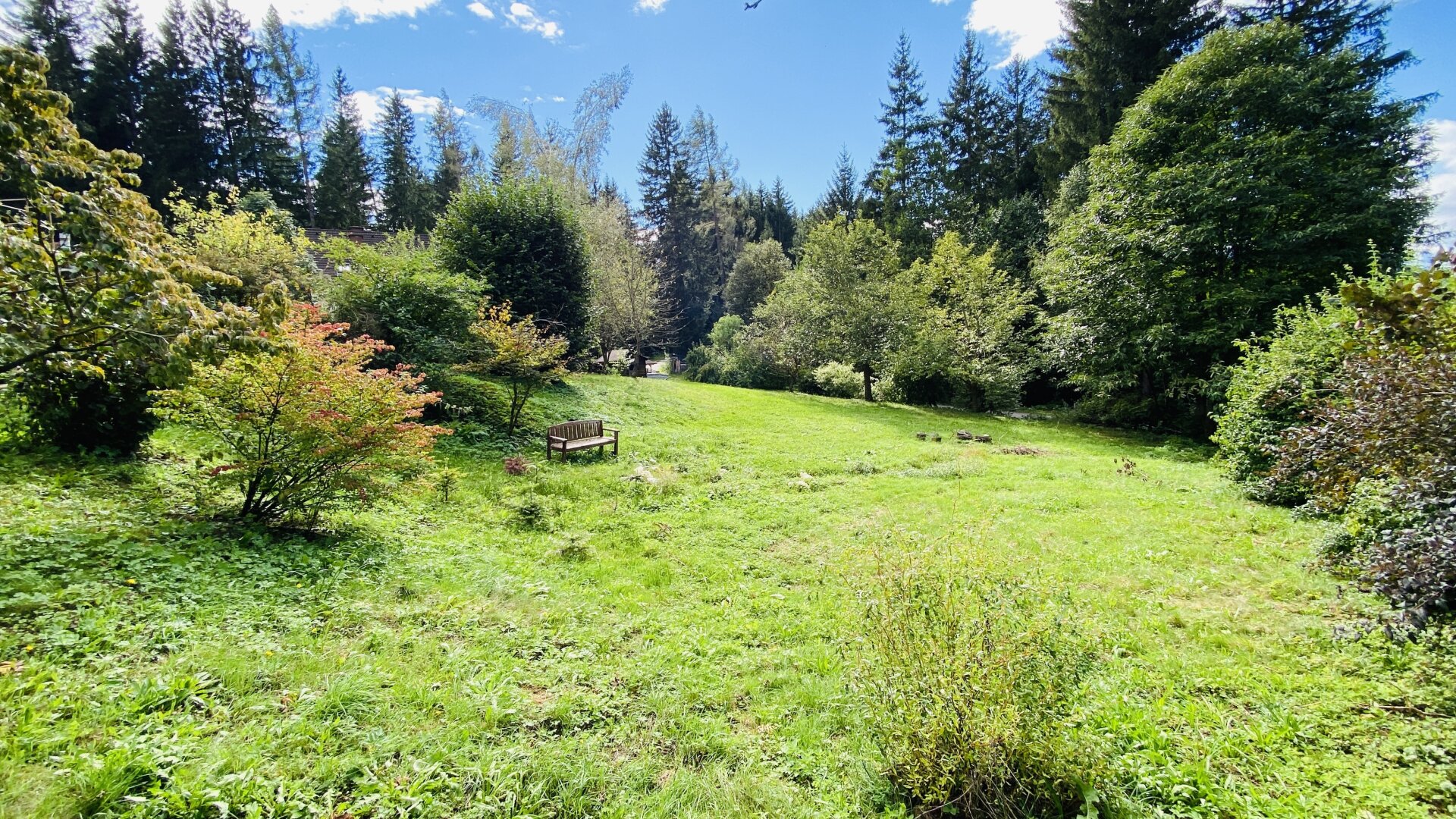 Weißkirchen: Idyllisches Baugrundstück im Grünen mit vielfältigen Gestaltungsmöglichkeiten