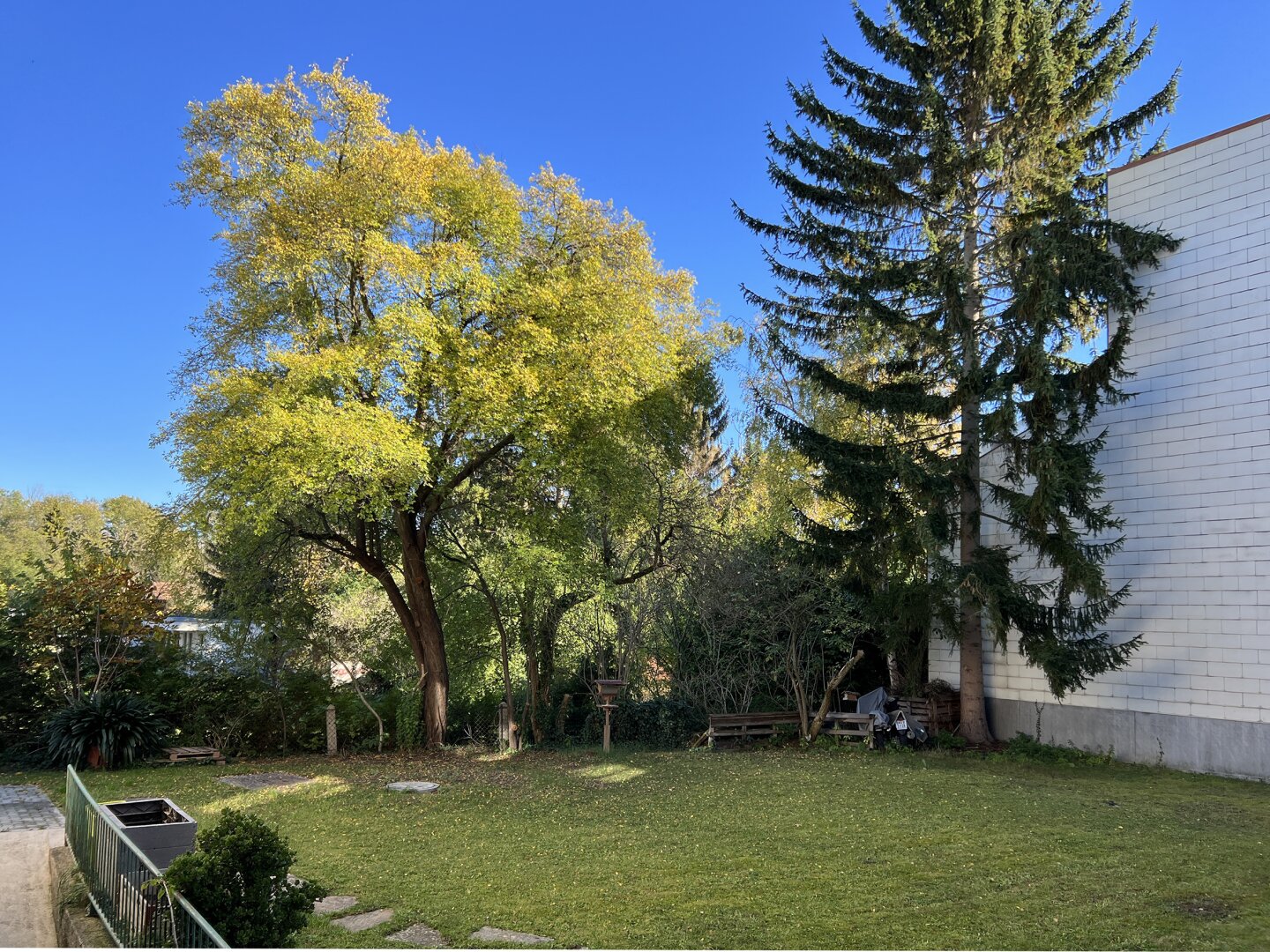 Blick von der Küche in den Garten