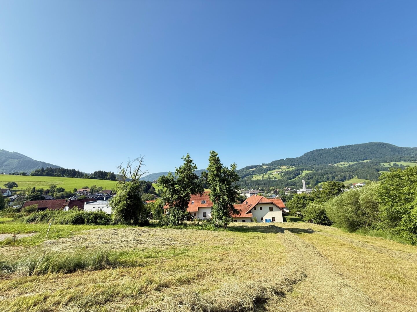 Großes Grundstück in bester Aussichtslage in Scheibbs!! PROVISIONSFREI!