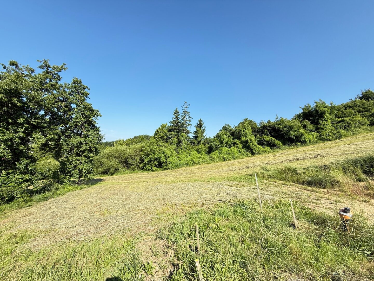 Großes Grundstück in bester Aussichtslage in Scheibbs!! PROVISIONSFREI!