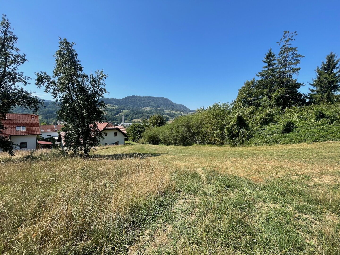 Großes Grundstück in bester Aussichtslage in Scheibbs!! PROVISIONSFREI!