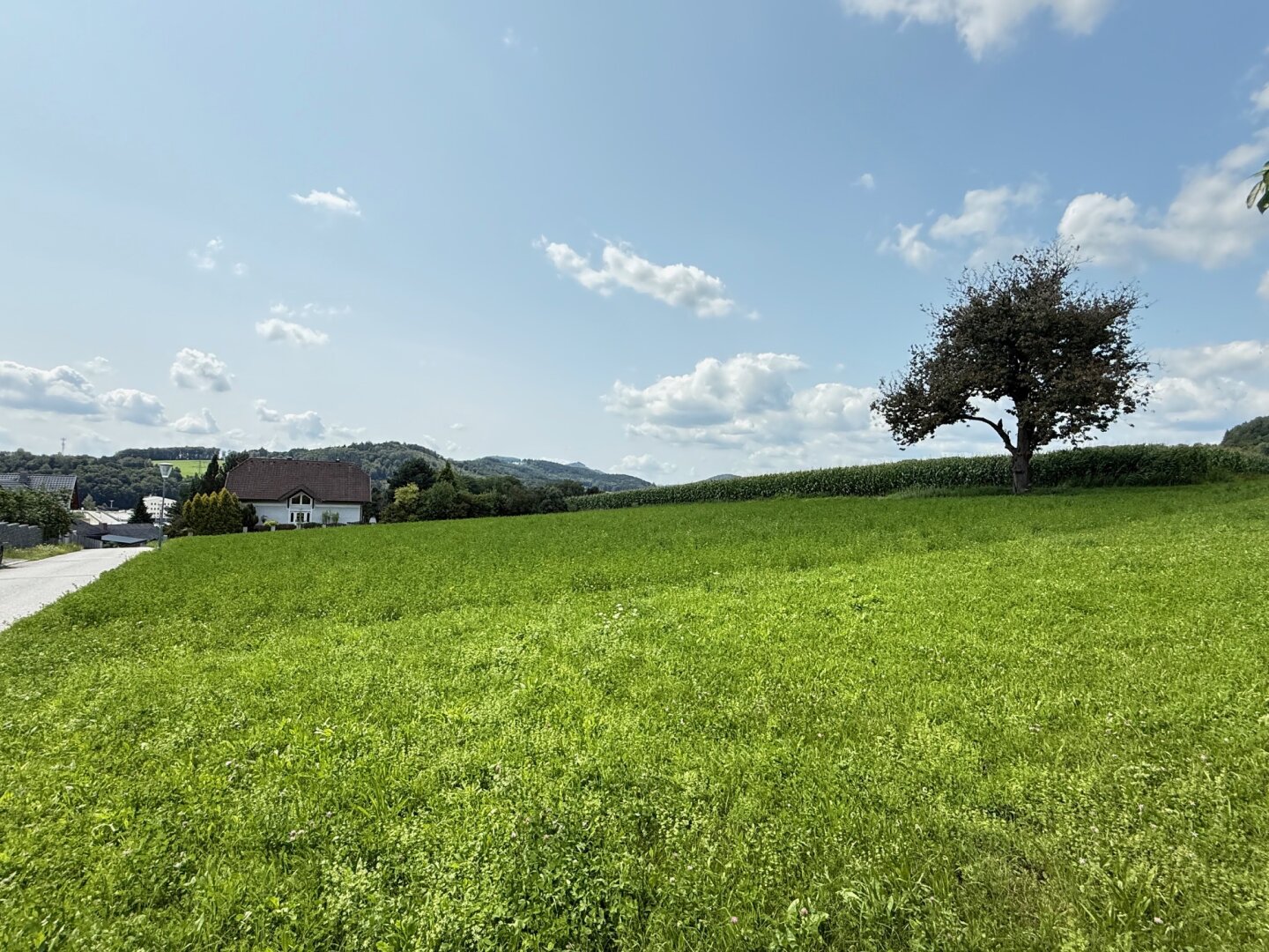 Baurechtsgrundstück in Top Aussichtslage mit Projektentwurf für Bauträger!
