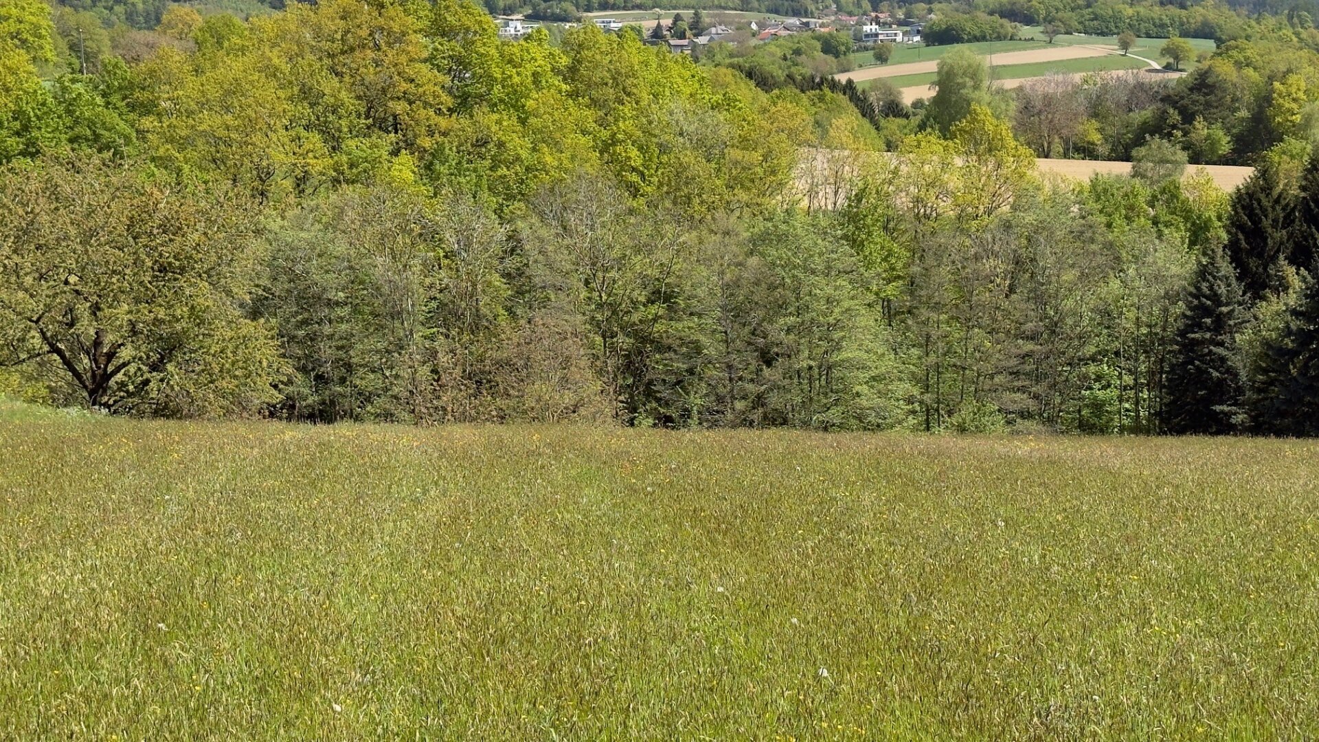 Großes Grundstück mit herrlicher Aussicht auf Maria Taferl und ins Alpenvorland!
