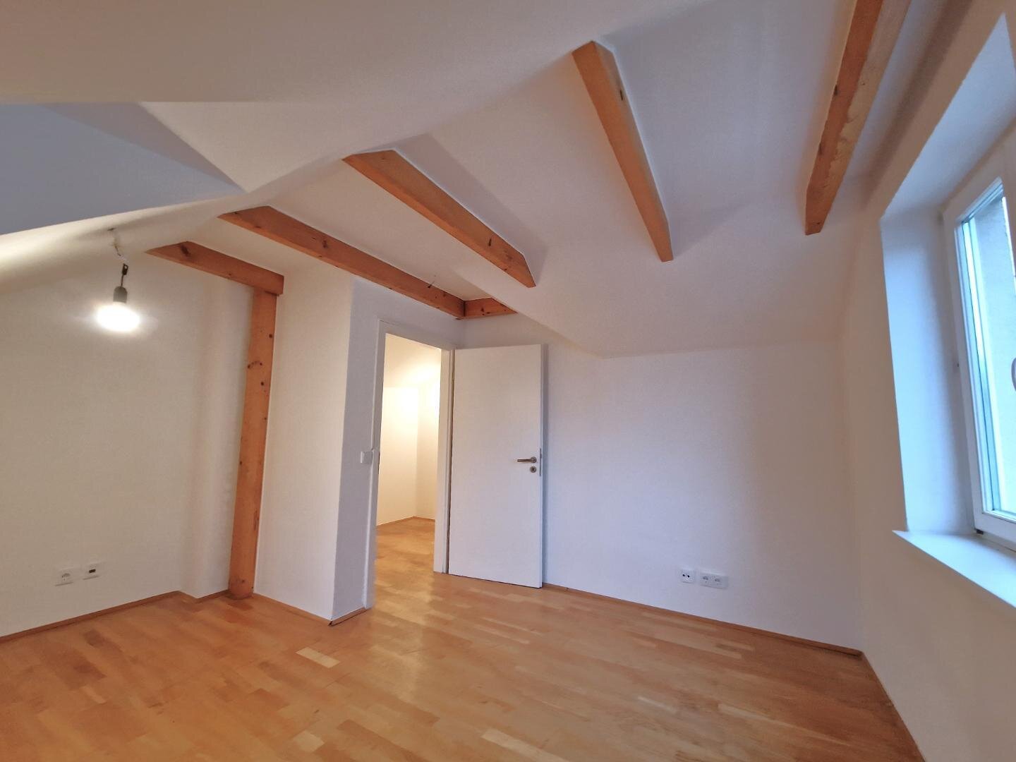 Zimmer1