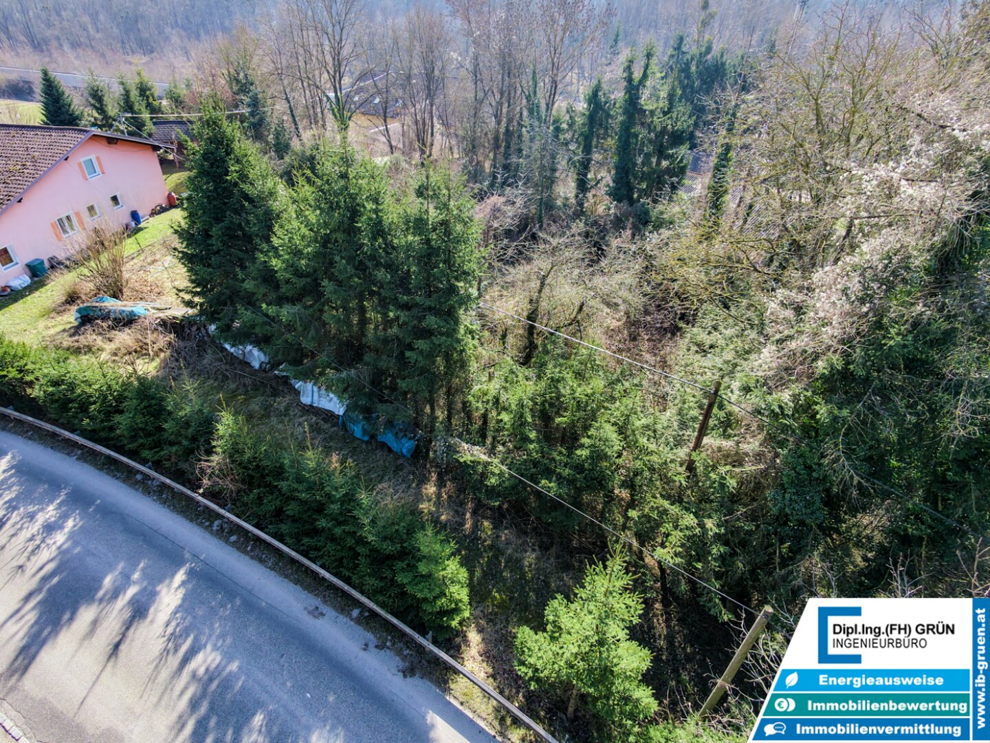 Großzügiges Baugrundstück in Langenstein – teilbar & flexibel gestaltbar