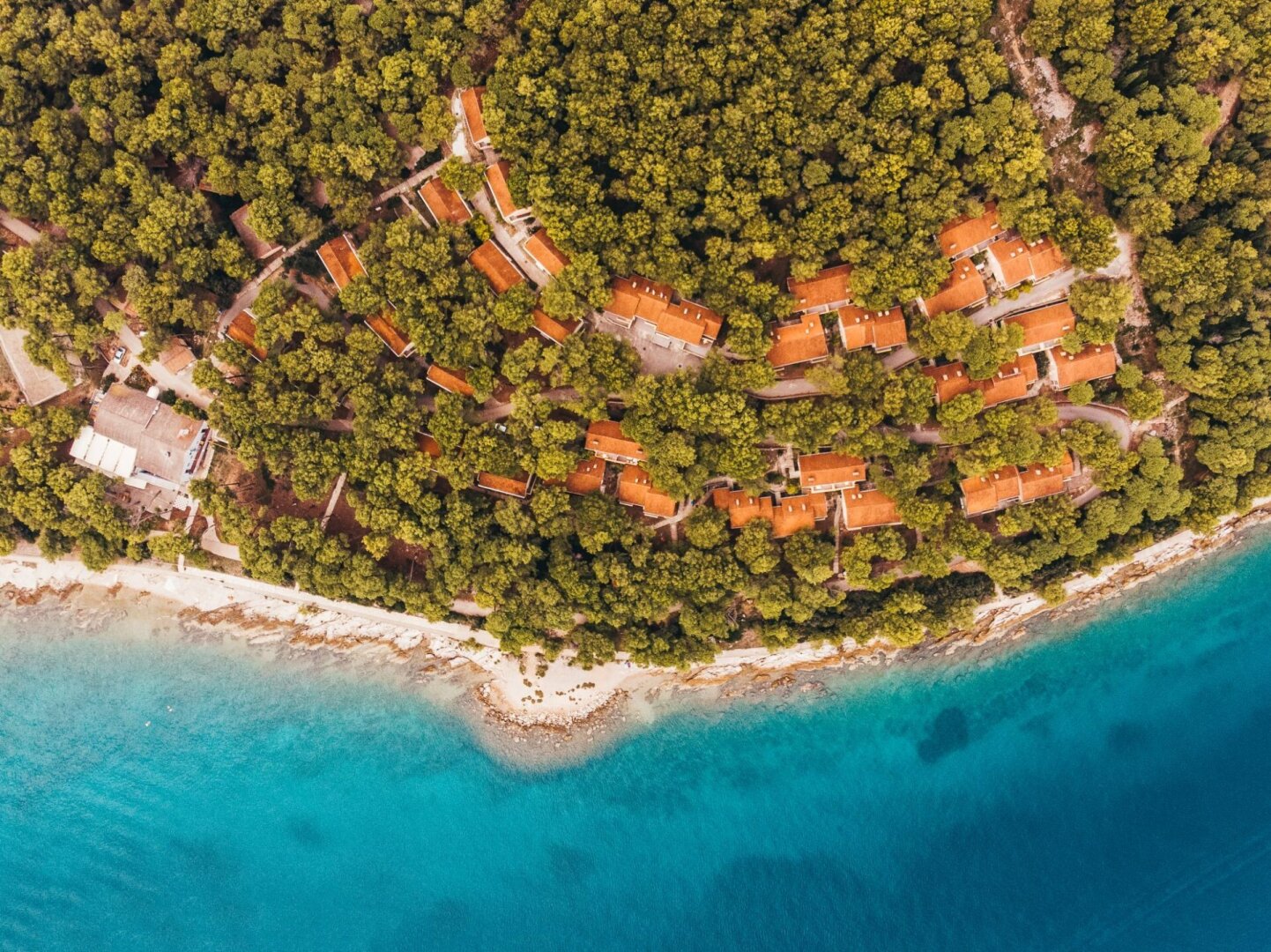 Resort