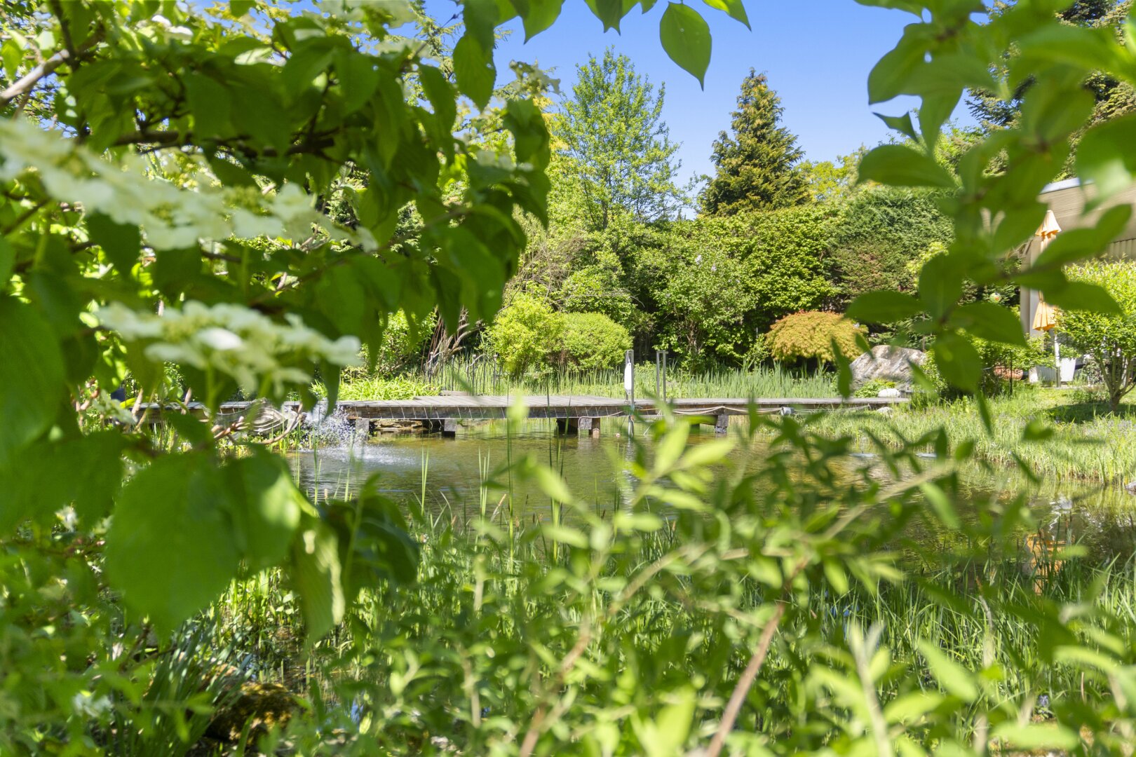 Ein verborgenes Refugium am Kreuzbergl – dort, wo Natur, Wasser und Architektur zu etwas Besonderem verschmelzen