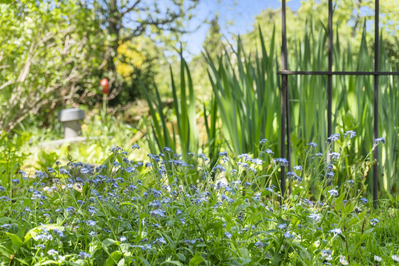 Ein verborgenes Refugium am Kreuzbergl – dort, wo Natur, Wasser und Architektur zu etwas Besonderem verschmelzen