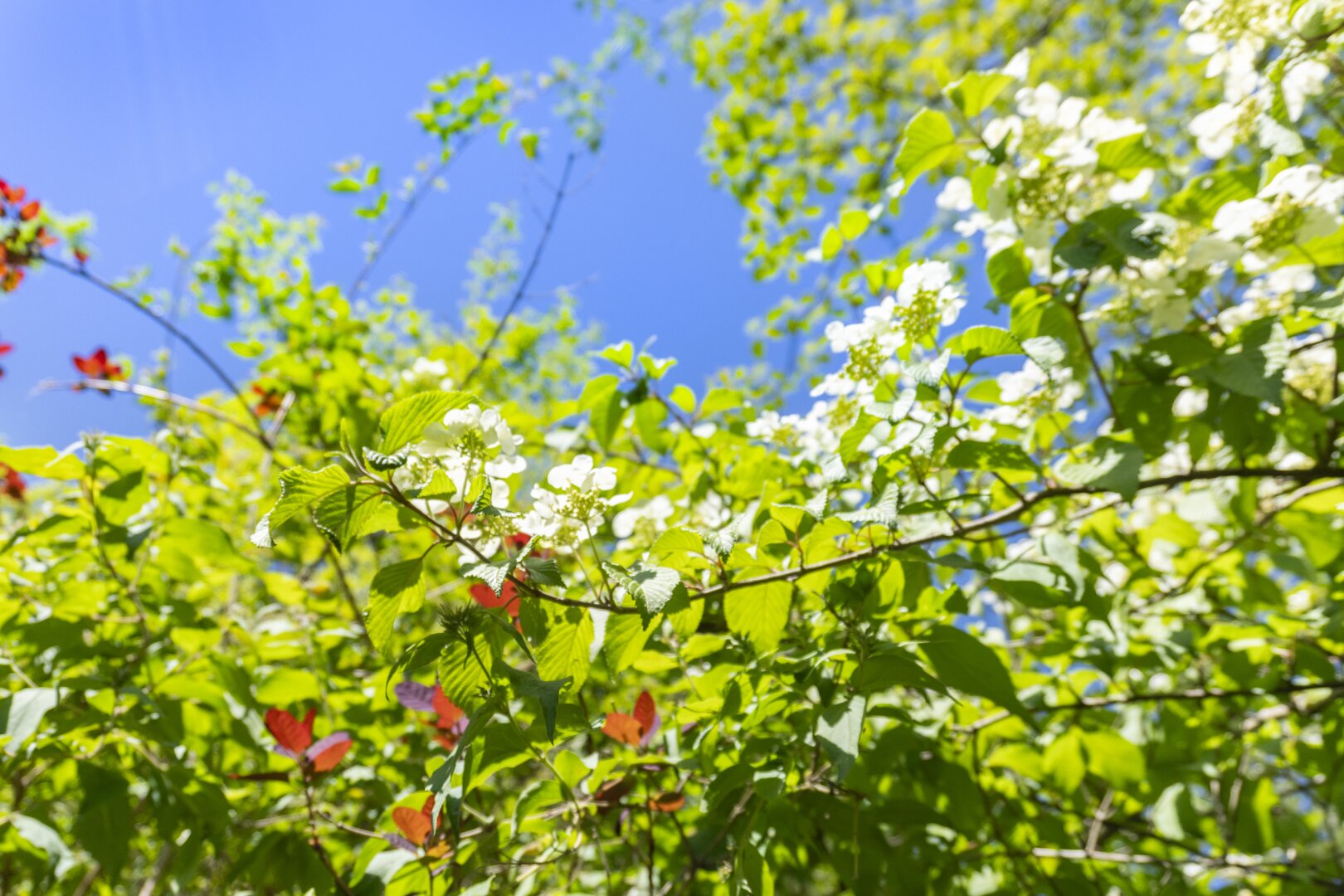 Ein verborgenes Refugium am Kreuzbergl – dort, wo Natur, Wasser und Architektur zu etwas Besonderem verschmelzen