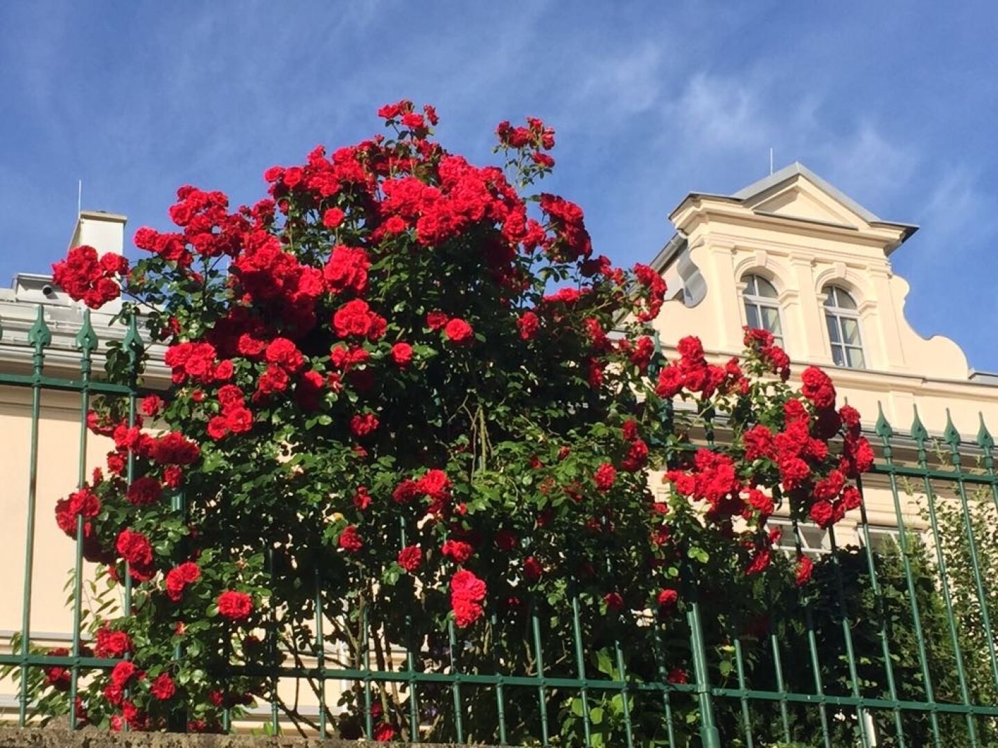 Exklusives Penthouse-Loft in historischer Architektur – außergewöhnliches Wohnen über den Dächern von Villach