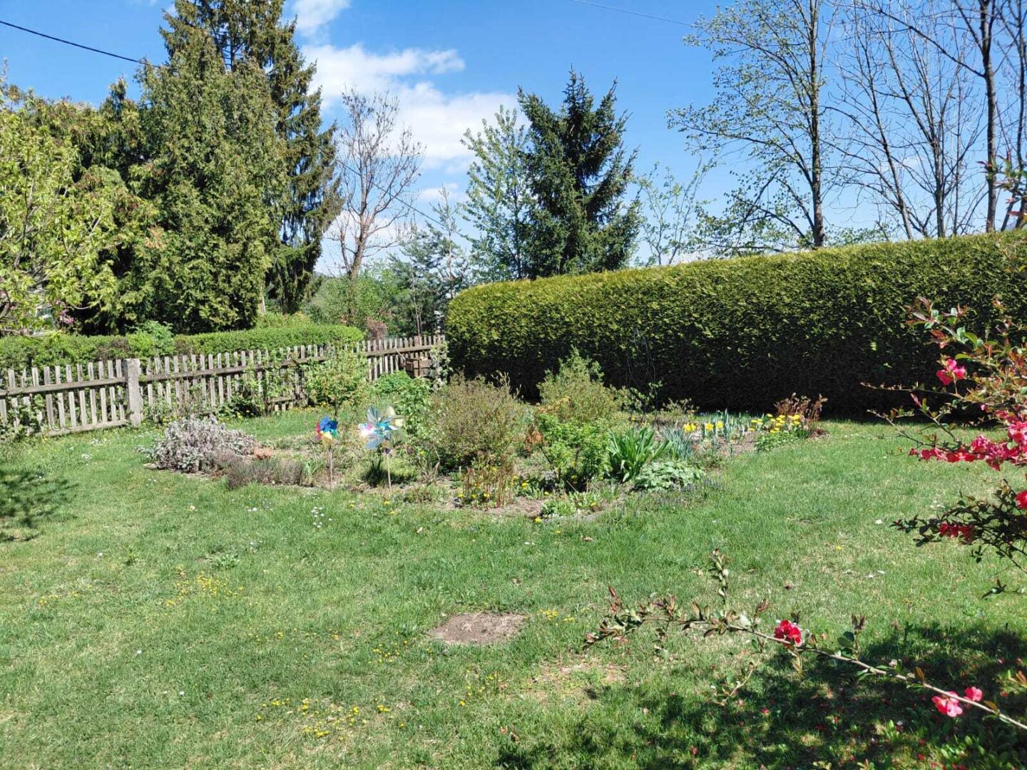 K3 - Ein/Zweifamilienhaus mit schönem Garten