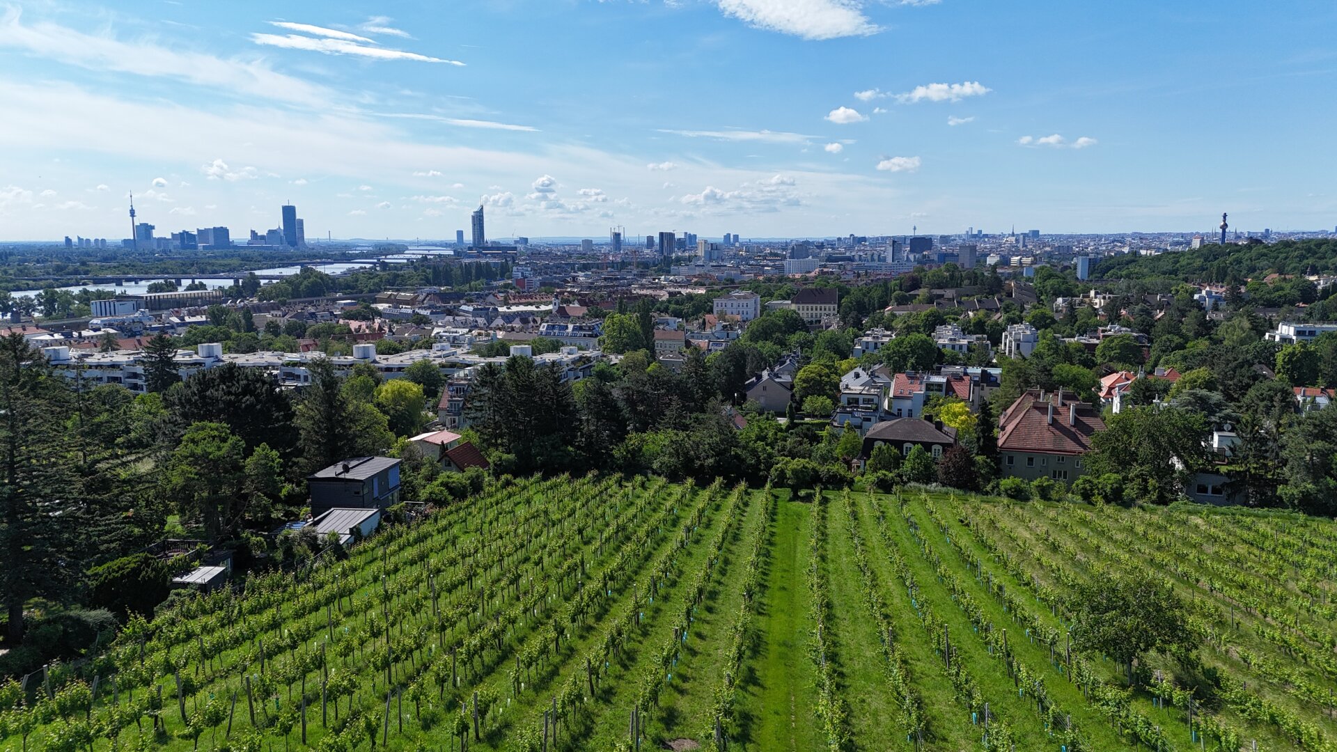 Einzigartige Villenlage am Fuße des Nussbergs - mit Baubewilligung Neubau Luxusvilla mit Pool und Tiefgarage