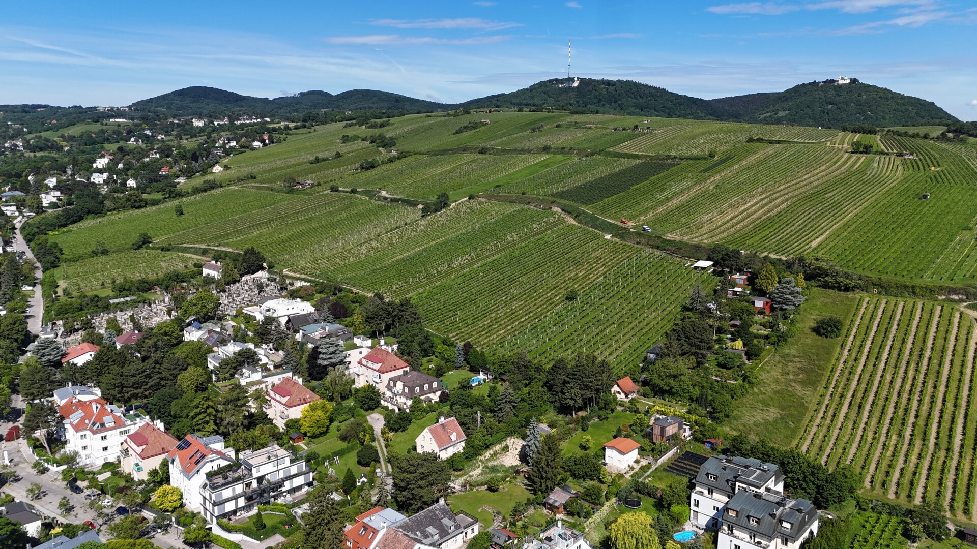 Einzigartige Villenlage am Fuße des Nussbergs - mit Baubewilligung Neubau Luxusvilla mit Pool und Tiefgarage