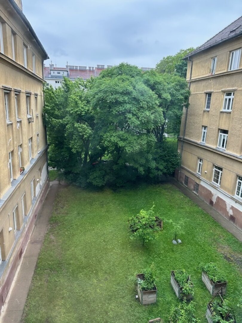 Charmante Wohnungen - BRAUN25