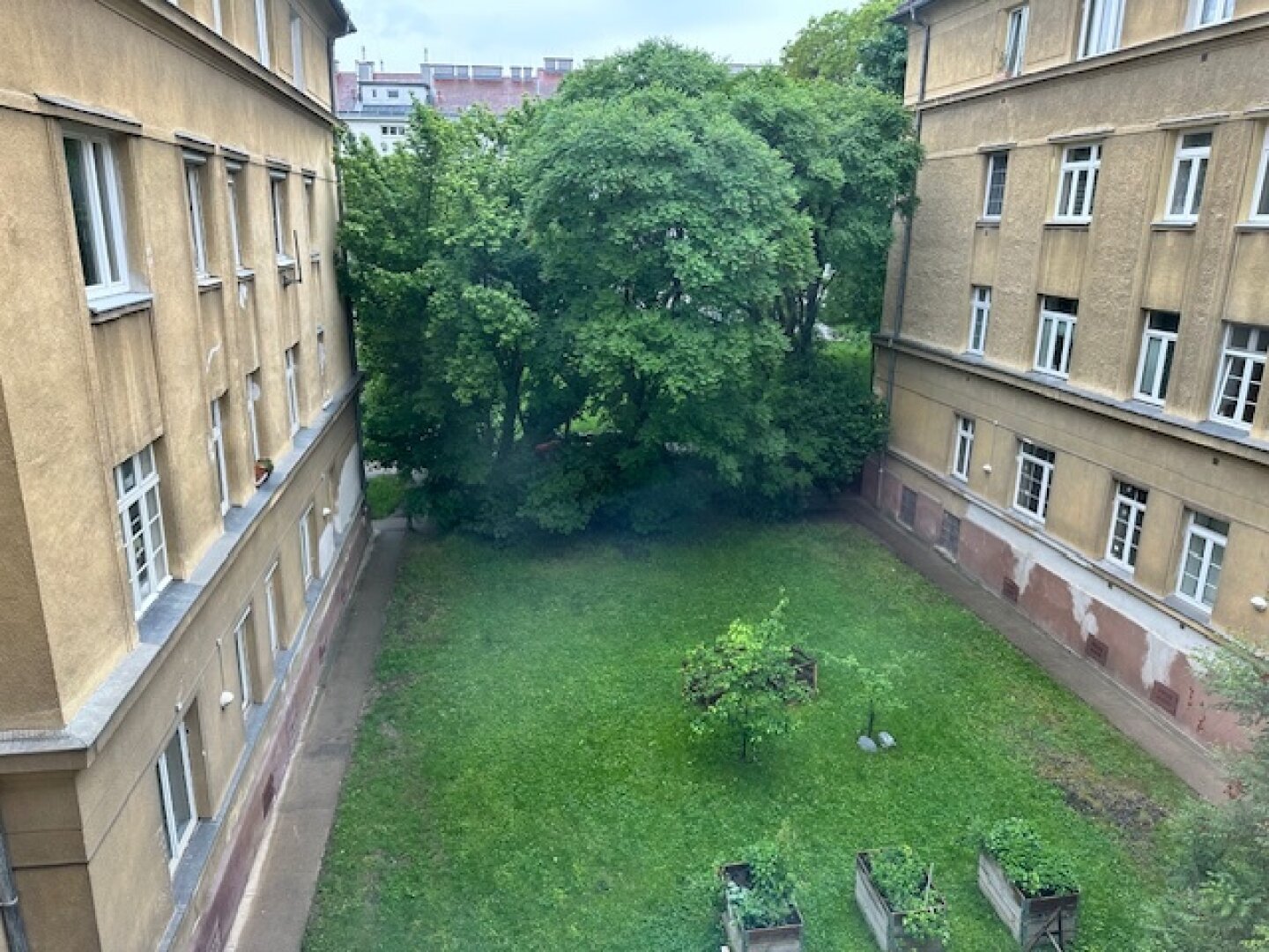 Charmante Wohnungen - BRAUN25