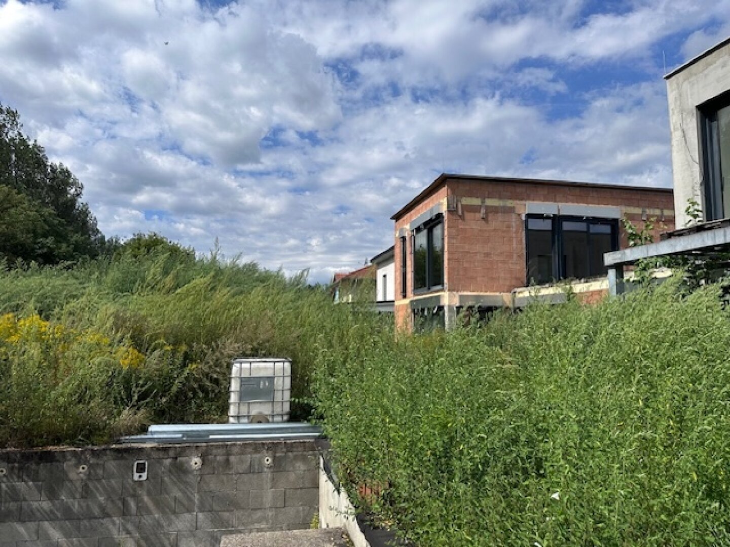IHR HAUS am AUWALD mit Blick ins GRÜNE - wo Natur, Ruhe warten (NAHEZU BELAGSFERTIG)
