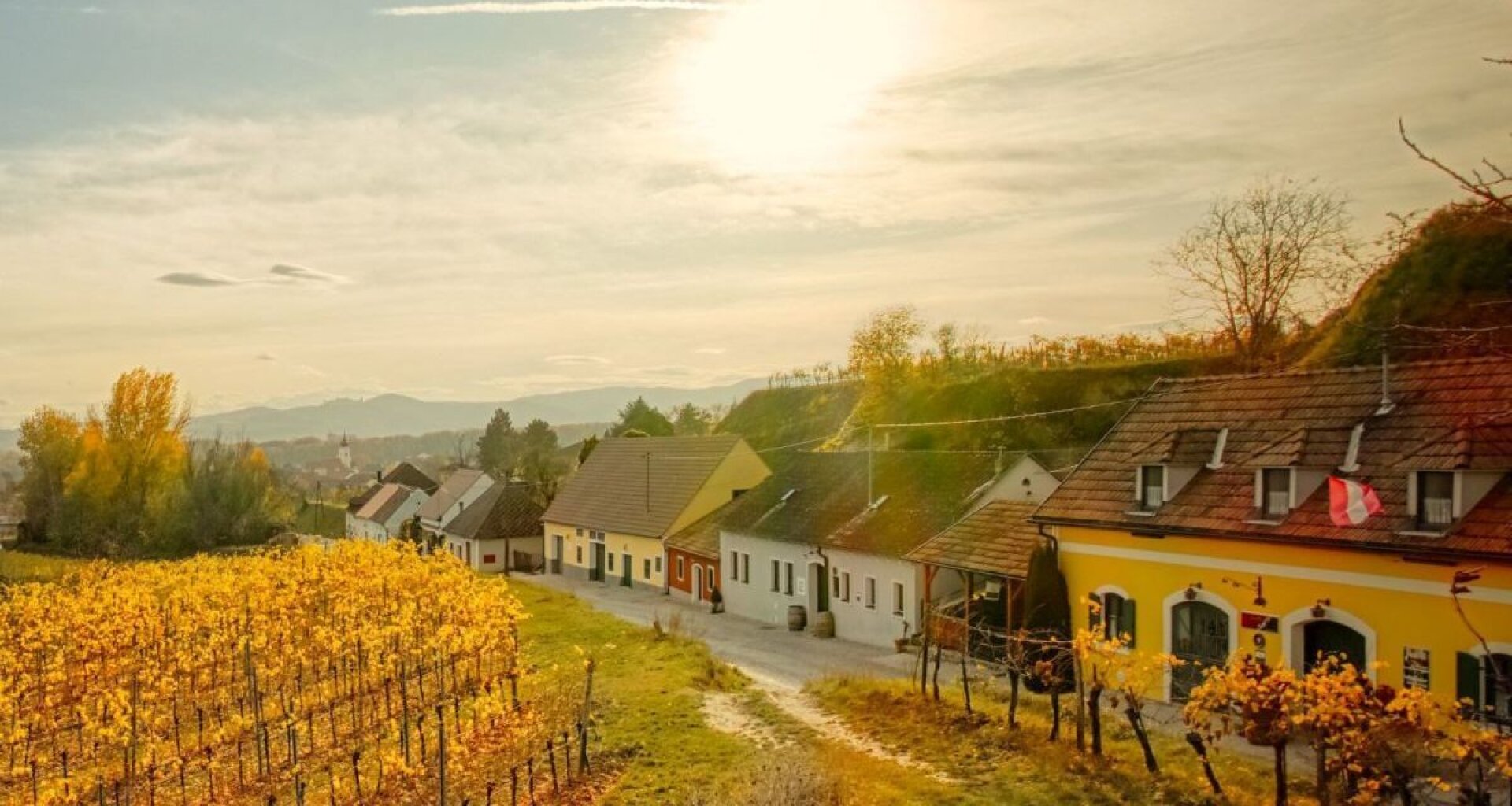 Traumhafte Baugrundstücke nebeneinander in Langenzersdorf - gesamt 2800 m² - Grenze Wiens mit Ausblick
