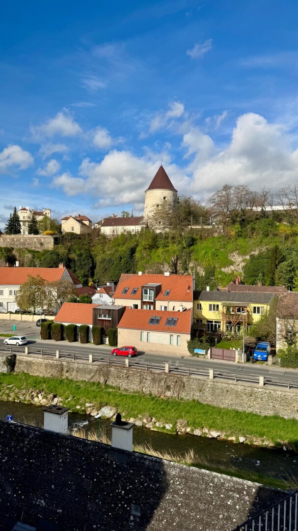 Wohnen im Zentrum: sanierungsbedürftiges Einfamilienhaus mit Entwicklungspotential (inkl. Studie)