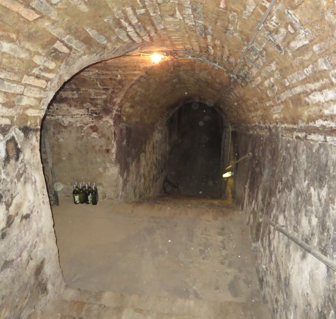 NEUER PREIS - Einmalige Gelegenheit - Weinkeller inkl. Weingarten