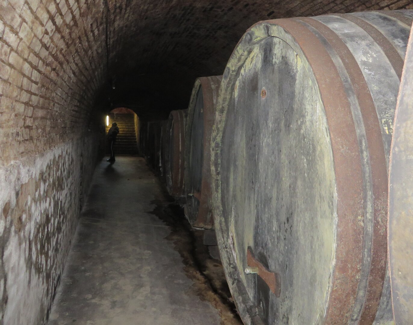 NEUER PREIS - Einmalige Gelegenheit - Weinkeller inkl. Weingarten