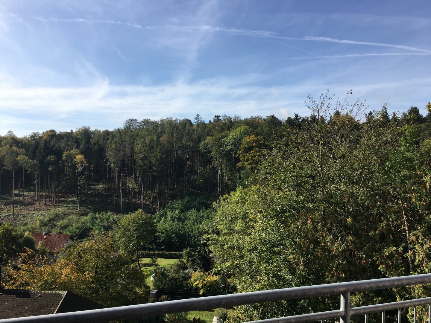 Charmante 2-Zimmer-Wohnung mit Balkon in ruhiger Grünlage – Gründberghof Top 10