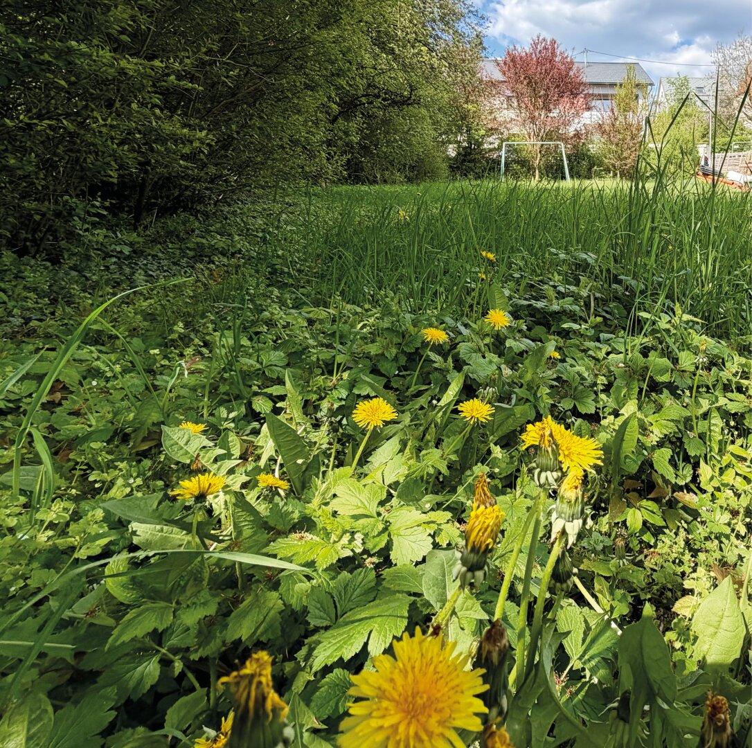 Sonniges 751m² Baugrundstück in ruhiger Siedlungslage von Leonding