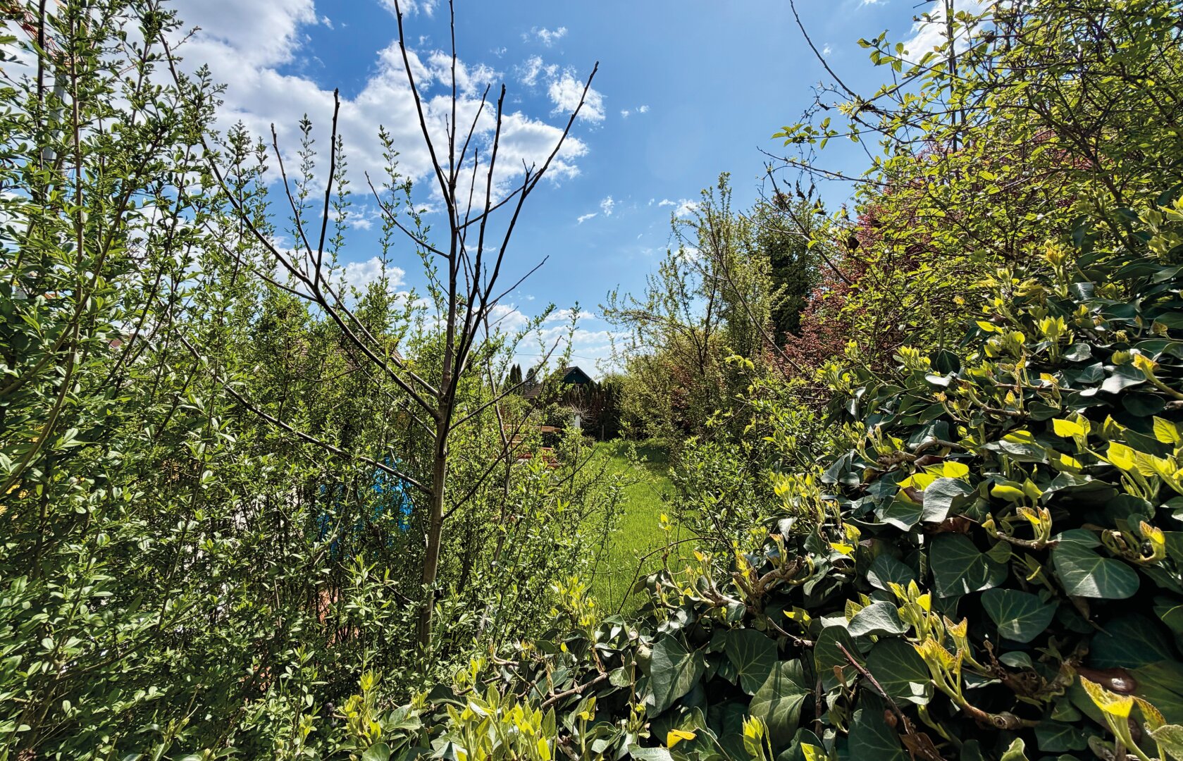Sonniges 751m² Baugrundstück in ruhiger Siedlungslage von Leonding