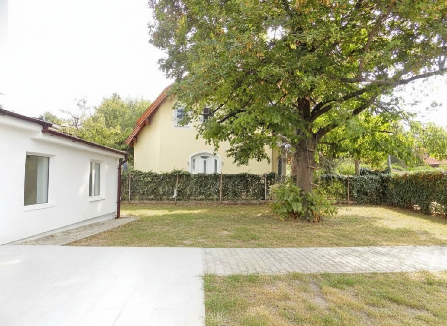 Garten mit Linde