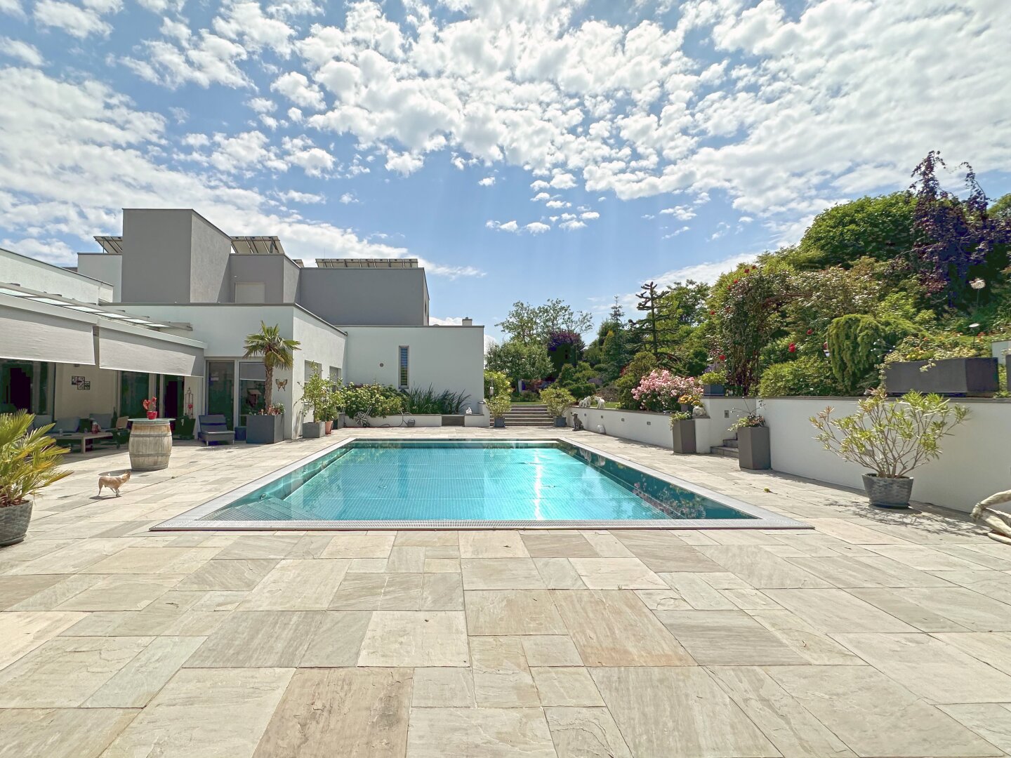 Große Terrasse mit Edelstahl-Überlaufpool