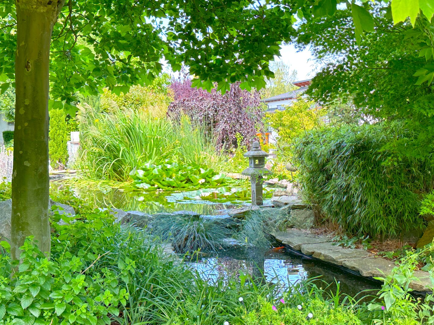 Traumgarten mit Koi-Teich und Wasserspielen