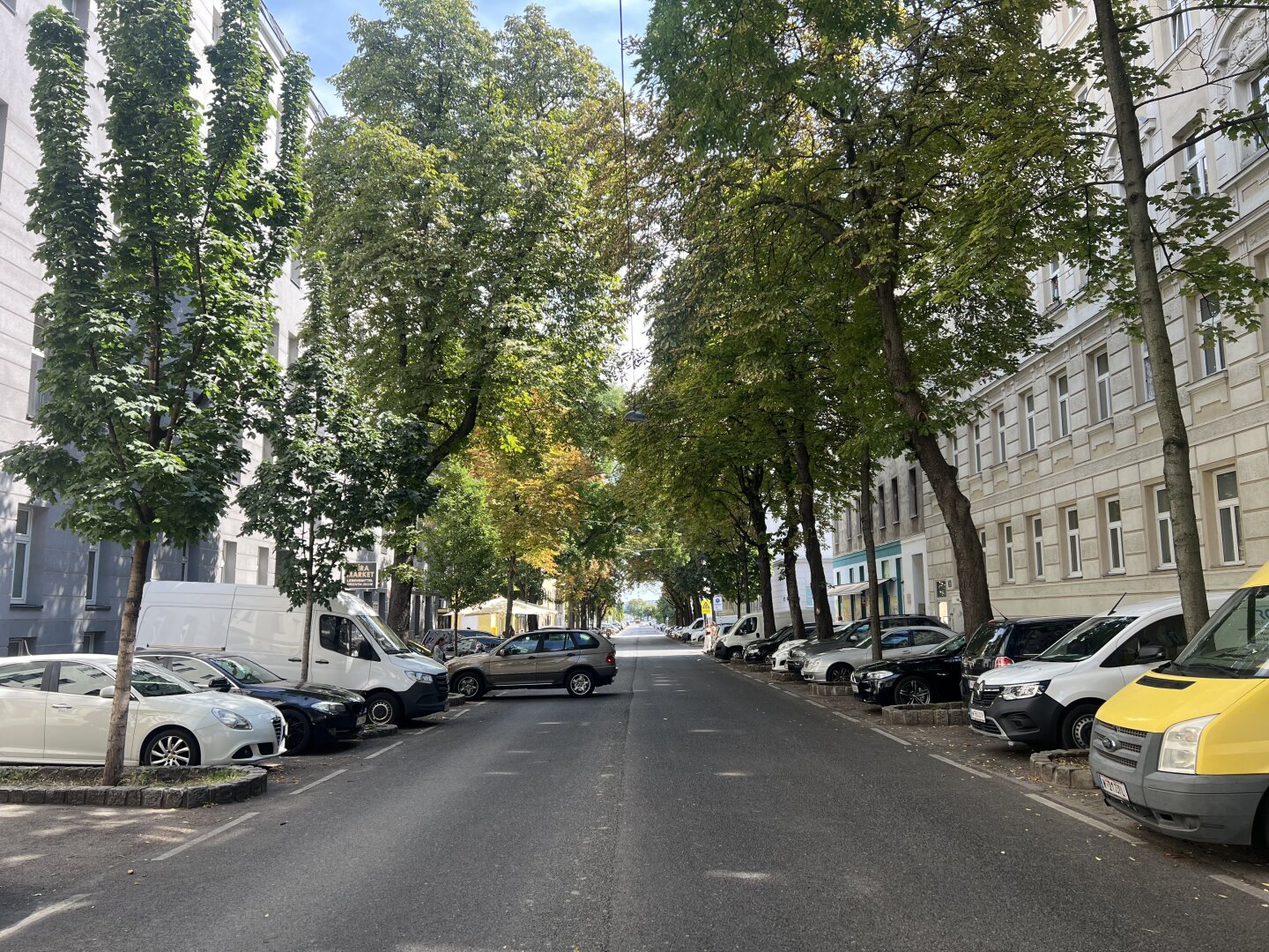 Alleestraße mit Altbaumbestand